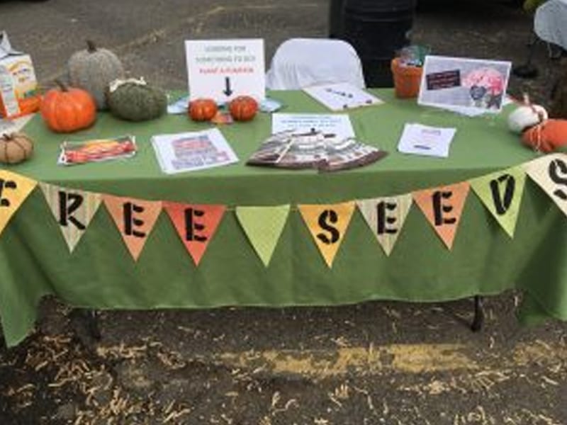 table with free seeds