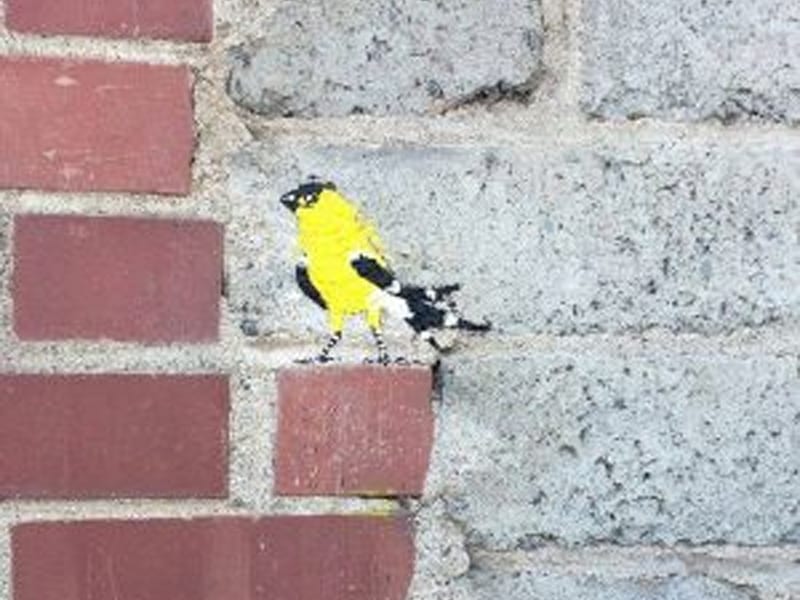 painted bird on brick