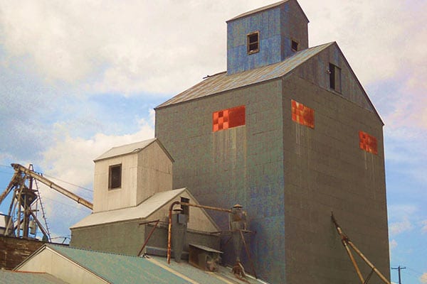 M & E Seed & Grain