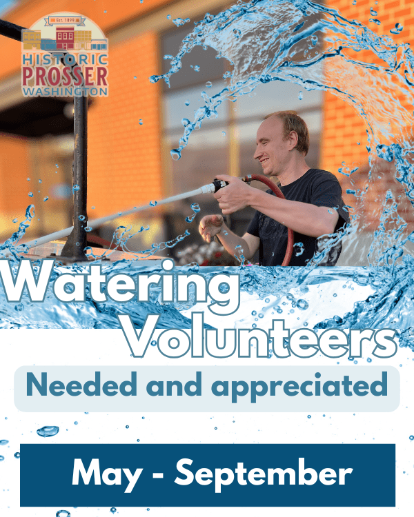 Volunteers Wanted Flyer (600 x 750 px) (1)