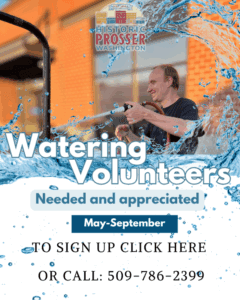 Volunteers Wanted Flyer (600 x 750 px) Volunteers Wanted Flyer (600 x 750 px)