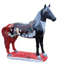 show pony