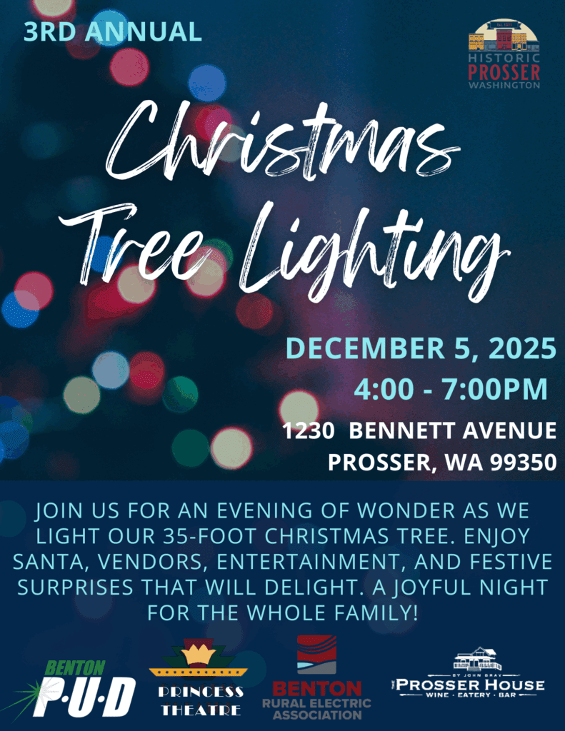 Christmas Tree Lighting flyer 2025 (1)